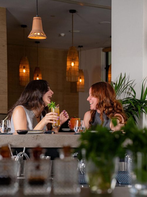 Two women talking and drinking cocktails