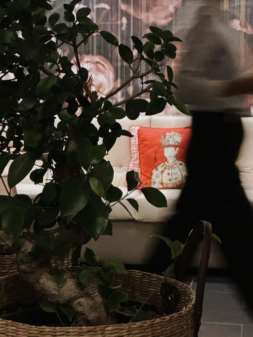 Tree on a foreground with waiter passing